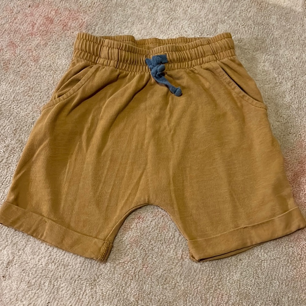 Cat and Jack boy shorts